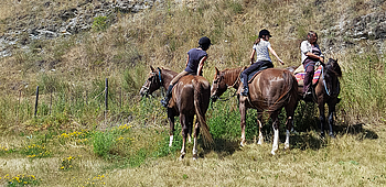 Cheval, randonnées équestres, poney, Mont-Noble